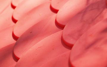 Torranyard plastic roof costs