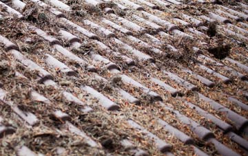 Torranyard roof cleaning companies